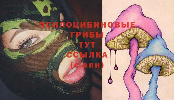первитин Пересвет