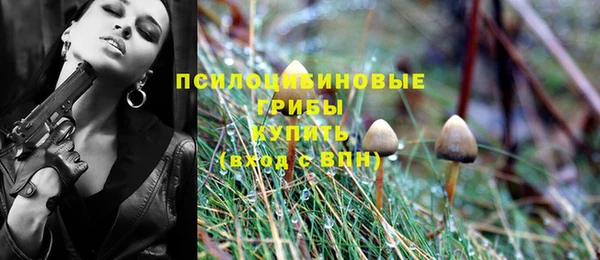 таблы Пестово