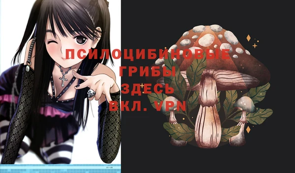экстази Переславль-Залесский