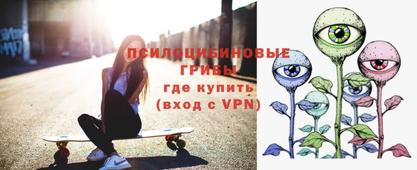 стаф Струнино